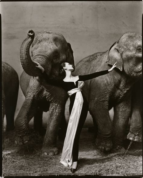 dovima with elephants evening dress by dior|dovima with elephants art.